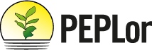 Logo-PEPLor-2