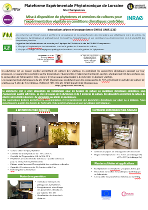 Capture d'écran 2025-11-27 142637