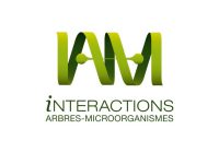 logo IAM