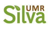 logo silva 2